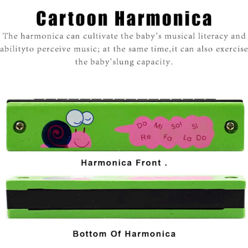 2-pack harmonica for beginners, diatonic harmonica, professional harmonica, harmonica for children, 16 holes 2
