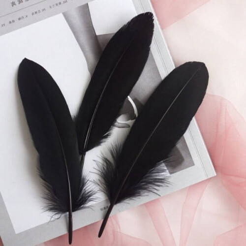 100 pcs/set Goose feather Miscellaneous Feathers BLACK black
