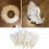 100 pcs/set Goose feather Miscellaneous Feathers BLACK black 4