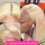 Περούκα Tkrady Short Straight Bob, Περούκες για Μαύρες Γυναίκες15,7 ιντσών Short Bob Wigs Ίσιες 6