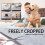 Quinlirra Pet Ice Mat, Cool Ice Silk Sleeping Mat Συμβατό με Όλες τις Εποχές, Διαφανές Αναπνεύσιμο 5