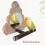 Adjustable Bird Play Stand with Ladder and Mirror for Parrots Macaw Cage Exercise 4