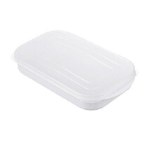 Caixa de congelamento de alimentos, hermeticamente fechada, própria para atacado, com tampa, para geladeiras e freezers de grande capacidade.