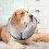 Inflatable Dog Collar for Post Surgery Recovery, Soft Adjustable Cone with Quick Drying Gray L 2