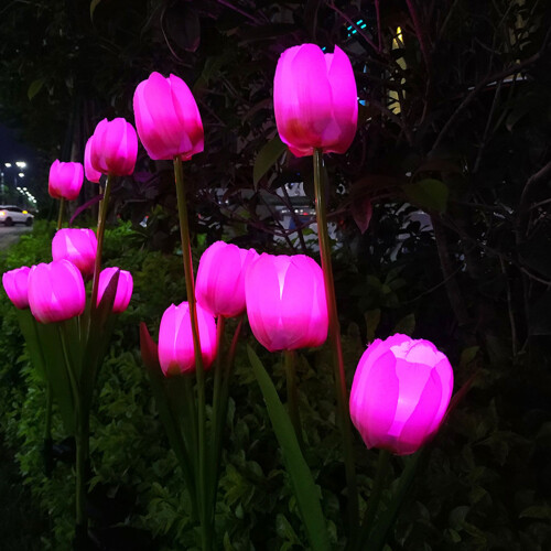Ηλιακό φως κήπου Tulip με αδιάβροχο φωτισμό εξωτερικού χώρου για μονοπάτια, γκαζόν, 1