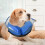 Inflatable Dog Cone for Post Surgery Recovery Adjustable Soft Collar Neck Protector Blue M 2