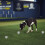 20Pcs Dog Scent Training Canisters Aluminum Tin Containers Silver 5