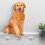 20Pcs Dog Scent Training Canisters Aluminum Tin Containers Silver 7