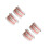 2Pcs Ergonomic Standard Typodont Teeth Model for Oral Education Use 3