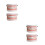 2Pcs Ergonomic Standard Typodont Teeth Model for Oral Education Use 8