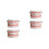 2Pcs Ergonomic Standard Typodont Teeth Model for Oral Education Use 5
