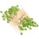 300Pcs Multi Bamboo Fruit Skewers Leaf Shaped Disposable Snack Picks 2