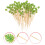 300Pcs Multi Bamboo Fruit Skewers Leaf Shaped Disposable Snack Picks 4