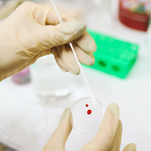 Écouvillon nasal floqué à usage unique, 60 pièces, prélèvement confortable pour des tests précis 1