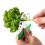 Effortless Leaf Separation: 9-Hole Leaf Stripping Tool, High-Quality Kitchen Gadget for Kale and More 2