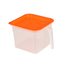 Caja de almacenamiento de alimentos Fnyoxu pequeña, de plástico transparente con tapa, para clasificar y almacenar frutas y verduras en el