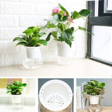 Vaso autoirrigante UDIYO, 1 pezzo trasparente, compatibile con violette africane, piante grasse e orchidee - con stoppino e foro di iniezione