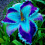 Φυτό Daylily - Μικτές χρωματικές ρίζες Daylily για φύτευση - Καλλιεργήστε όμορφα πολυετή 4