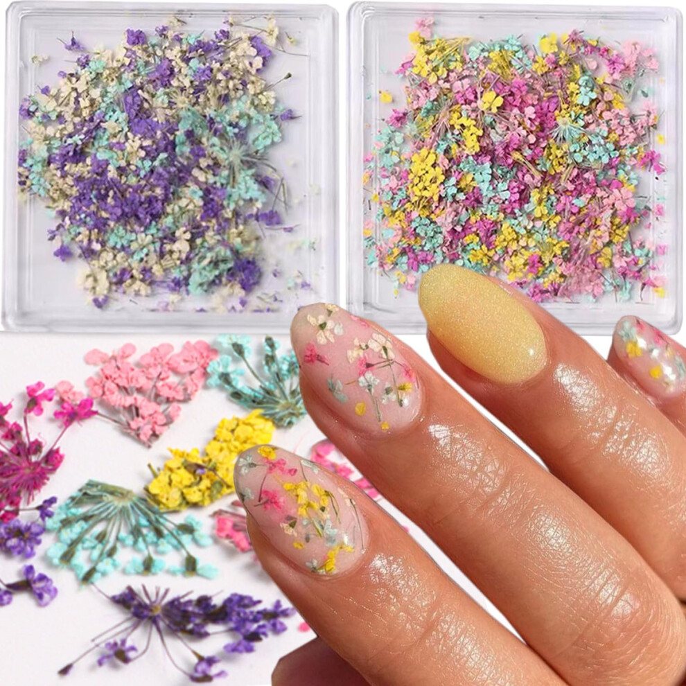 Real Dried Flower Nail Art Kit 3D Natural Design Stickers for Acrylic Nails and DIY Crafts