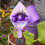 Bukettställ Stabilisator Blomsterbutikstillbehör Stöd Justerbart blomsterarrangemangsställ 2