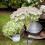 Bukettställ Stabilisator Blomsterbutikstillbehör Stöd Justerbart blomsterarrangemangsställ 6