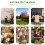 Bukettställ Stabilisator Blomsterbutikstillbehör Stöd Justerbart blomsterarrangemangsställ 3