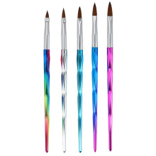 Professional Nail Art Brushes Set with Nail Dotting Tool for Gel Polish Design and Precise Detailing