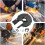 Angle Grinder Dust Shroud Guard Attachment for Cutting and Grinding in Workshop Construction 2