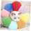 Adjustable Cat Collar Cone for Surgery Recovery AntiScratch Lick Biting Prevention Lightweight 4