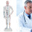 Meridian Points Model With Base Design, Premium Material And Clear Handwriting, Widely Applicable Acupuncture Tool For Learning And Practice 2