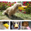 Silicone Dog Muzzle for Small Dogs with Adjustable Strap, Soft Duck Bill Design, AntiBiting Yellow 5