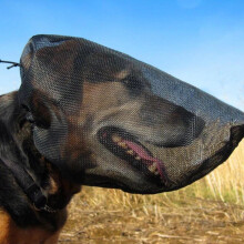 Dog Protective Mask with Foxtail Seed Protection, Breathable Adjustable Face Guard for Hiking Black M