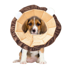 2Pcs Pet Dog Recovery Collar Cone Elizabethan Lion