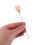 30 Cure-Dents En Bambou De Rose Pour Apéritifs Garnitures 4
