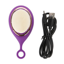 Oplaadbare gezichtsreinigingsborstel, exfoliërende massageborstel, USB-oplader, waterdicht, stimuleert de microcirculatie, geschikt voor nat en