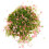 2Pcs Mini Fake Grass and Trees for Diorama Model Landscape 1