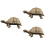 3Pcs Plastic Turtle Model Toy Ocean Animal Figurine 8