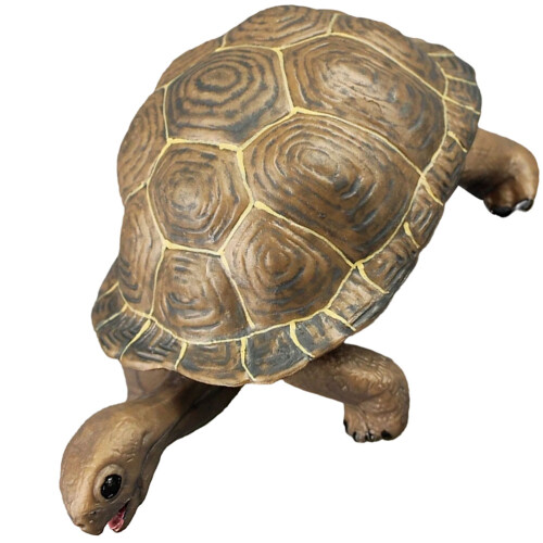 3Pcs Plastic Turtle Model Toy Ocean Animal Figurine 2