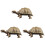 3Pcs Plastic Turtle Model Toy Ocean Animal Figurine 4