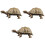 3Pcs Plastic Turtle Model Toy Ocean Animal Figurine 5