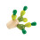 2Pcs Wooden Balancing Cactus With Building Blocks Educational Toy 8