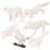 24 Pcs Animal Figurines Miniature Models For Kids 1