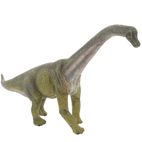 5Pcs Plastic Brachiosaurus Model Dinosaur Toy For Kids 1