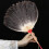 3Pcs Beautiful Goose Fan Black Wood Frame with Hanging String 4