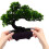 2Pcs Artificial Pine Potted Bonsai For Home Office Table Decor 3