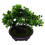 2Pcs Artificial Pine Potted Bonsai For Home Office Table Decor 1