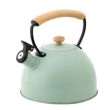 Stainless Steel Boiling Kettle Green Easy Clean Home Use