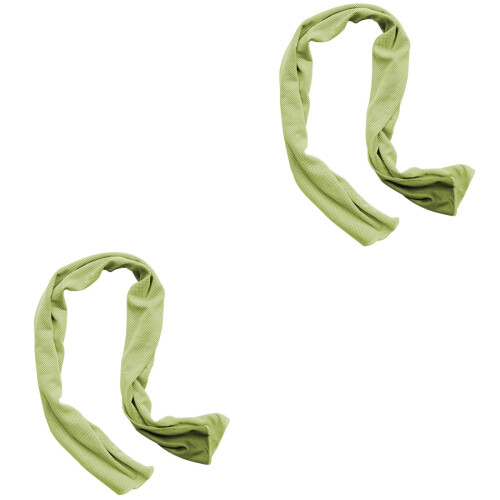 2pcs Multipurpose Women'S Sweat Towel 2