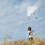1Set Kids DIY Kite Making Kit Plastic Material Assorted Toy 3