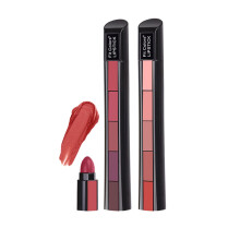 5 in 1 Matte Lipstick Set with 10 Shades, Velvet Finish, MoistureLocking and Travel Friendly